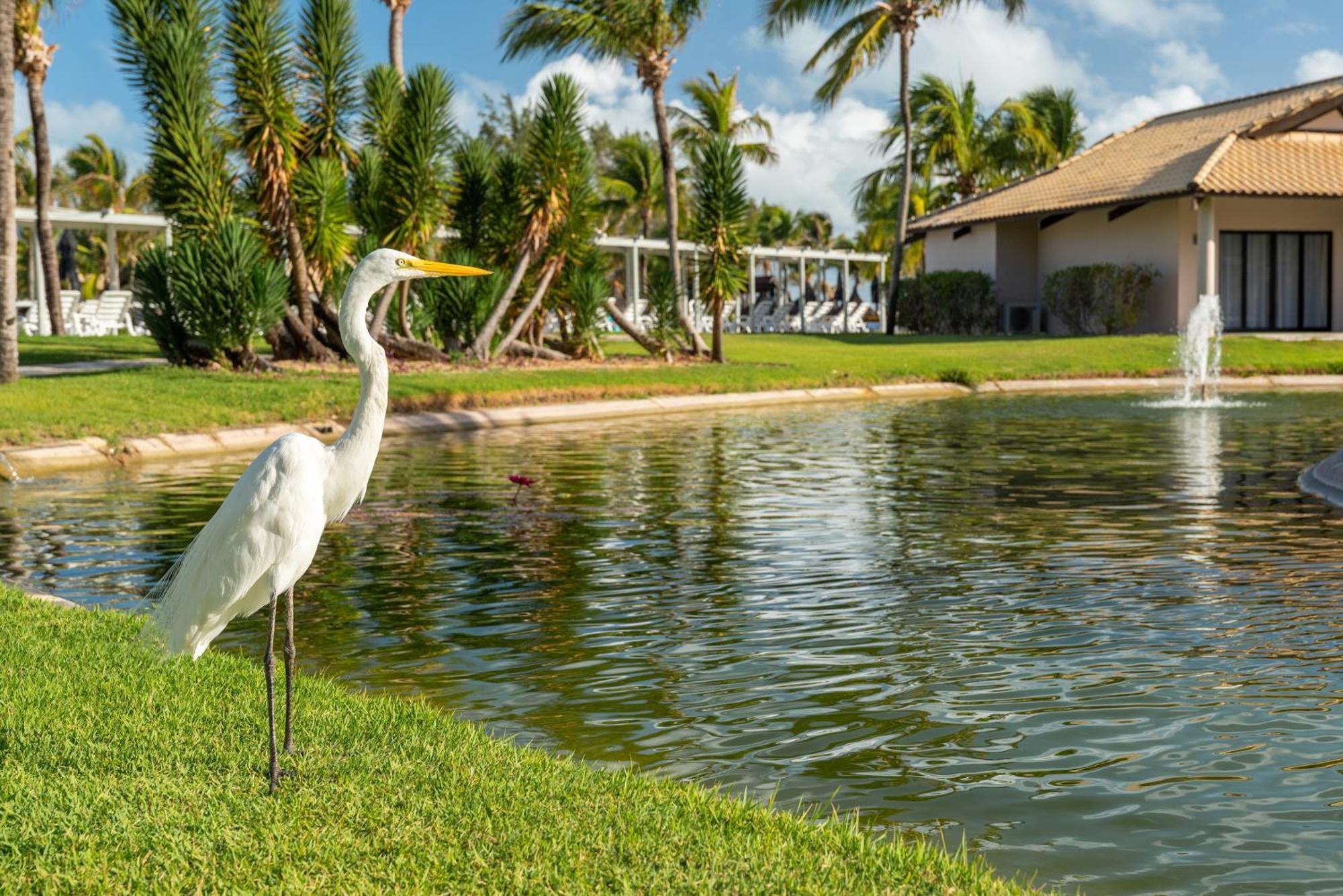 Vila Gale Resort Cumbuco เกากายา ภายนอก รูปภาพ